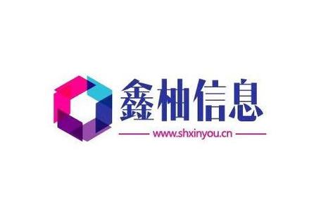 数字时代的卓越服务 网络信息科技驱动技术服务与咨询新范式